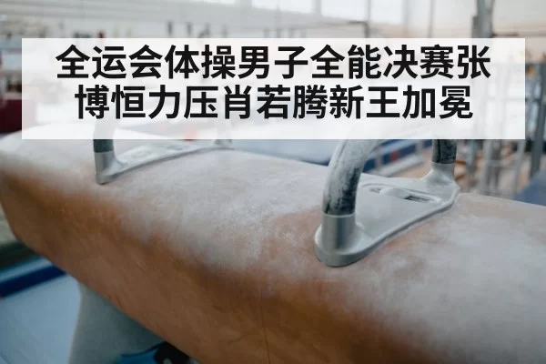 全运会体操男子全能决赛张博恒力压肖若腾新王加冕