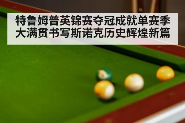 snooker final match