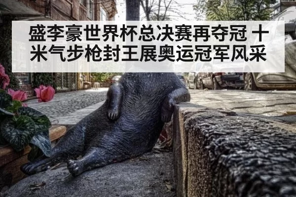 盛李豪世界杯总决赛再夺冠 十米气步枪封王展奥运冠军风采